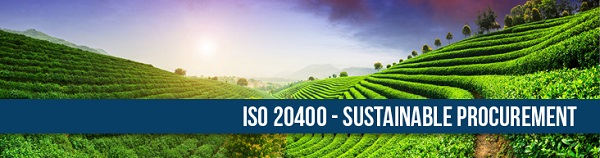 Autossustentável: ISO 20400