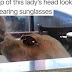 Talk About Perfect Timing: 5 Photos Too Funny To Be Ignored