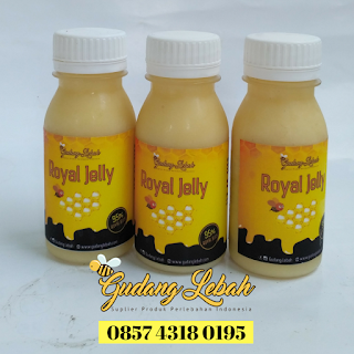 promil royal jelly, promil dg royal jelly, promil madu royal jelly, promil berhasil dengan royal jelly, promil dengan royal jelly, berhasil promil dengan royal jelly, royal jelly untuk promil,