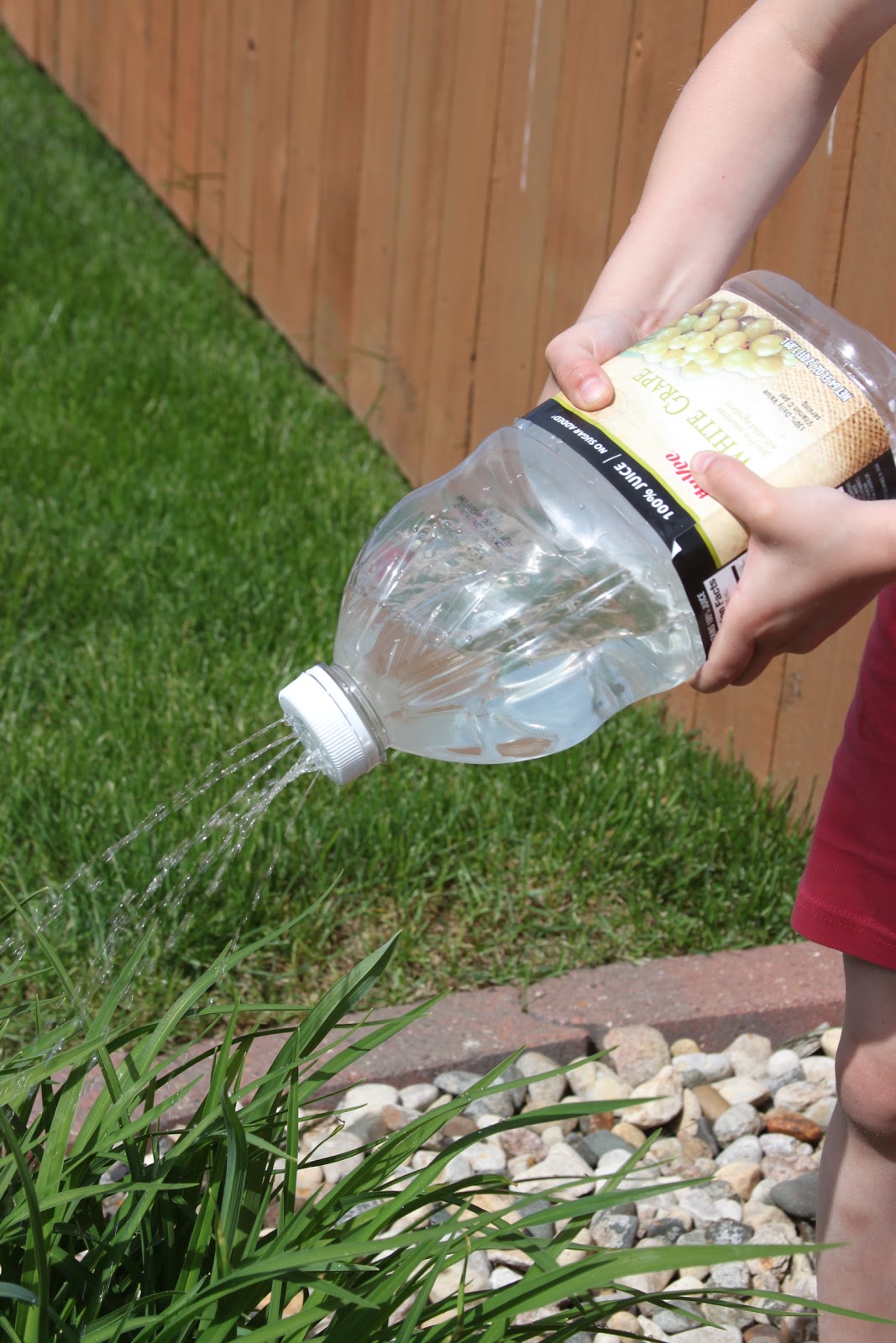 Kara's Creative Place Kids Watering Cans from Plastic Bottles