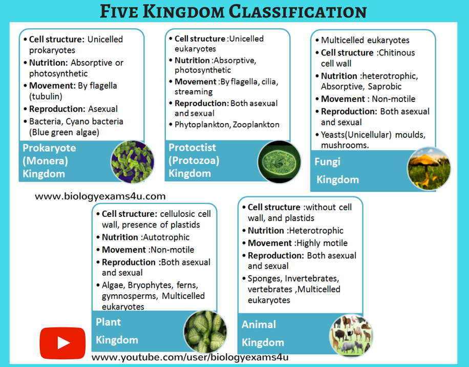Five Kingdom Classification