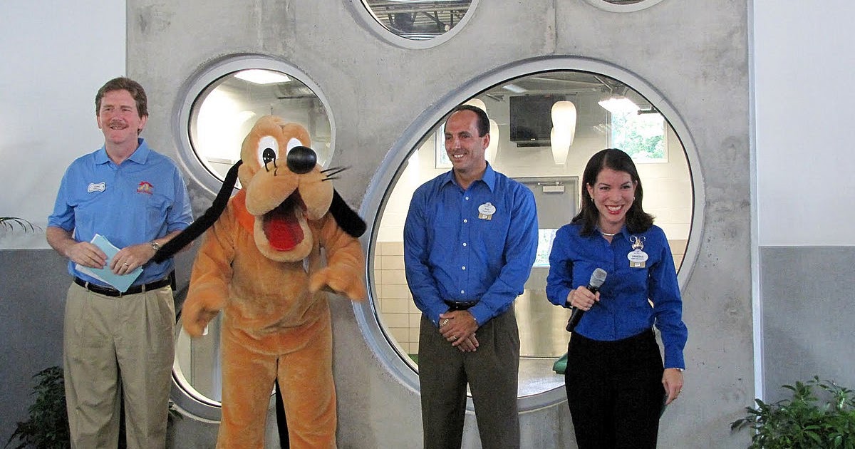 Hotel de lujo para mascotas Best Friends Pet Care Resort