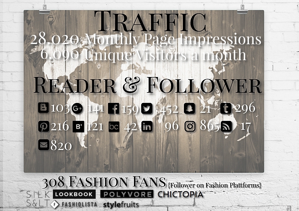 MEDIAKIT Traffic, Reader & Follower MEDIAKIT Traffic, Reader & Follower