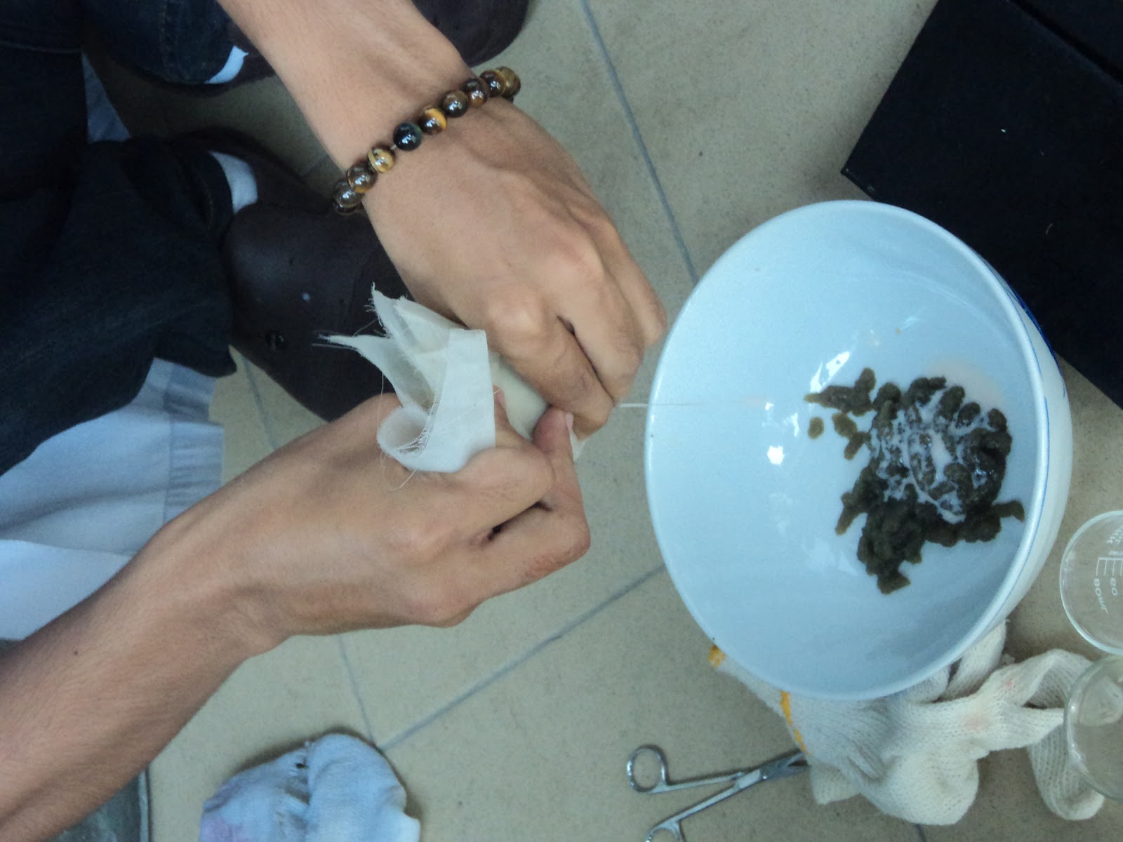 Kelah, Biotechnology, Aquaculture, Mariculture & Me African Catfish