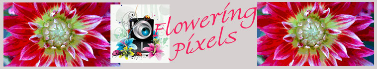 Flowering Pixels