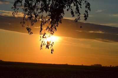 Sunset with Heaven's Halo Photo by Trisha Field