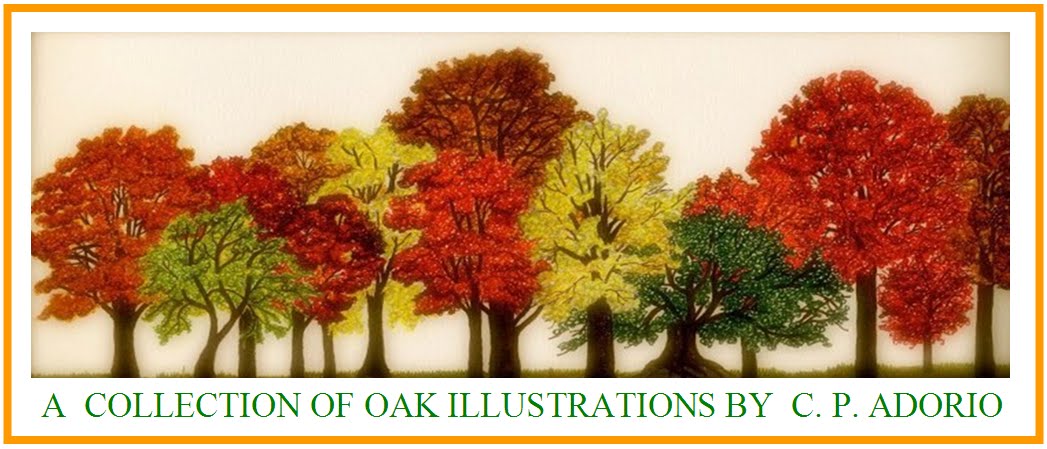 Cecilia Adorio's Illustrated Oak Collection