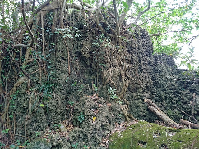 仲間グスク 仲間グスクの写真