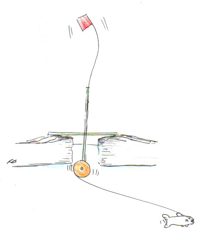 Fishing the U.P. How To Set Up a TipUp