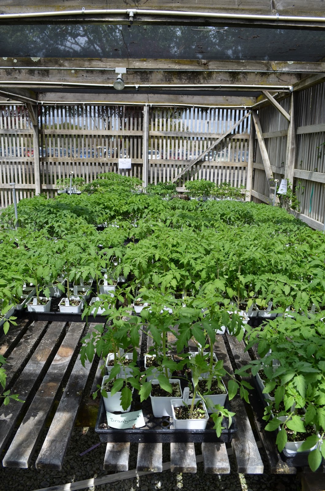 Woodland Water Wise Landscape Tour May 21 2016 Demonstration Garden