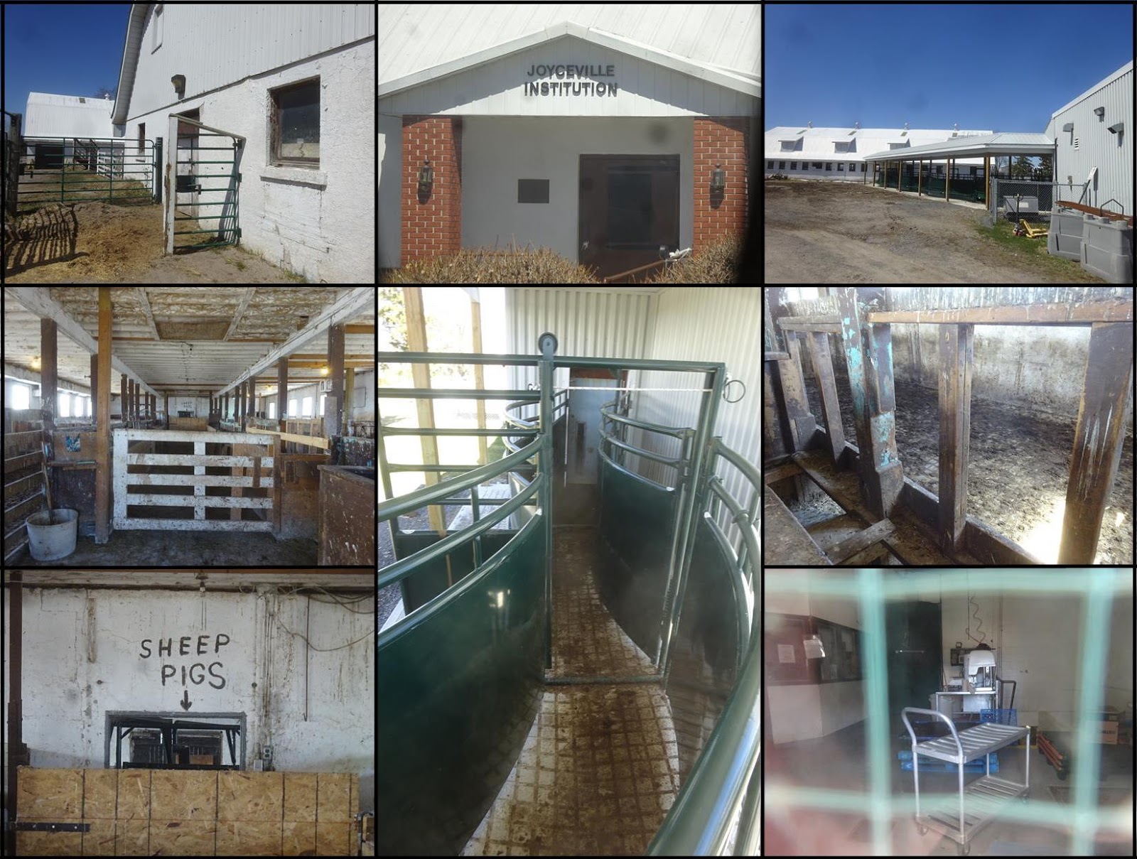 Prisoner Perspectives EOPF