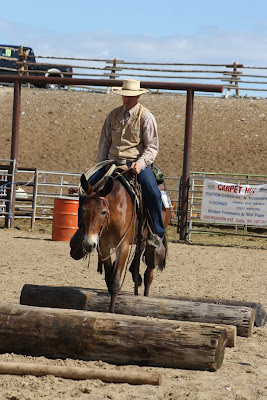 PairADice Mules: More Trail Preview Pictures Jake Clark Mule Days