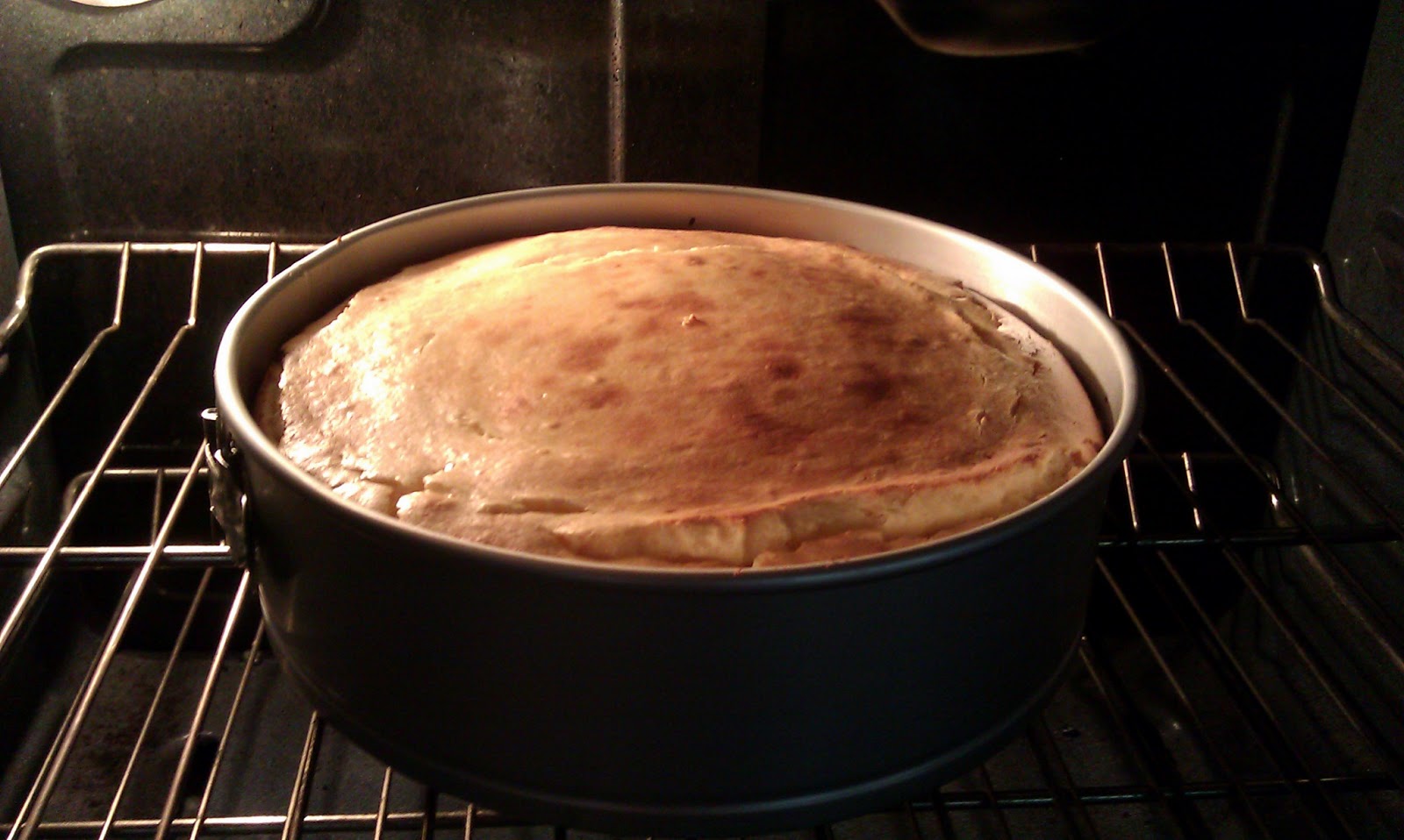 Dragonfly Gluten Free RumChata Cheesecake Gluten free