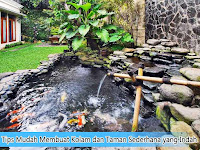 Tips Mudah Membuat Kolam dan Taman Sederhana yang Indah Tips Mudah Membuat Kolam dan Taman Sederhana yang Indah