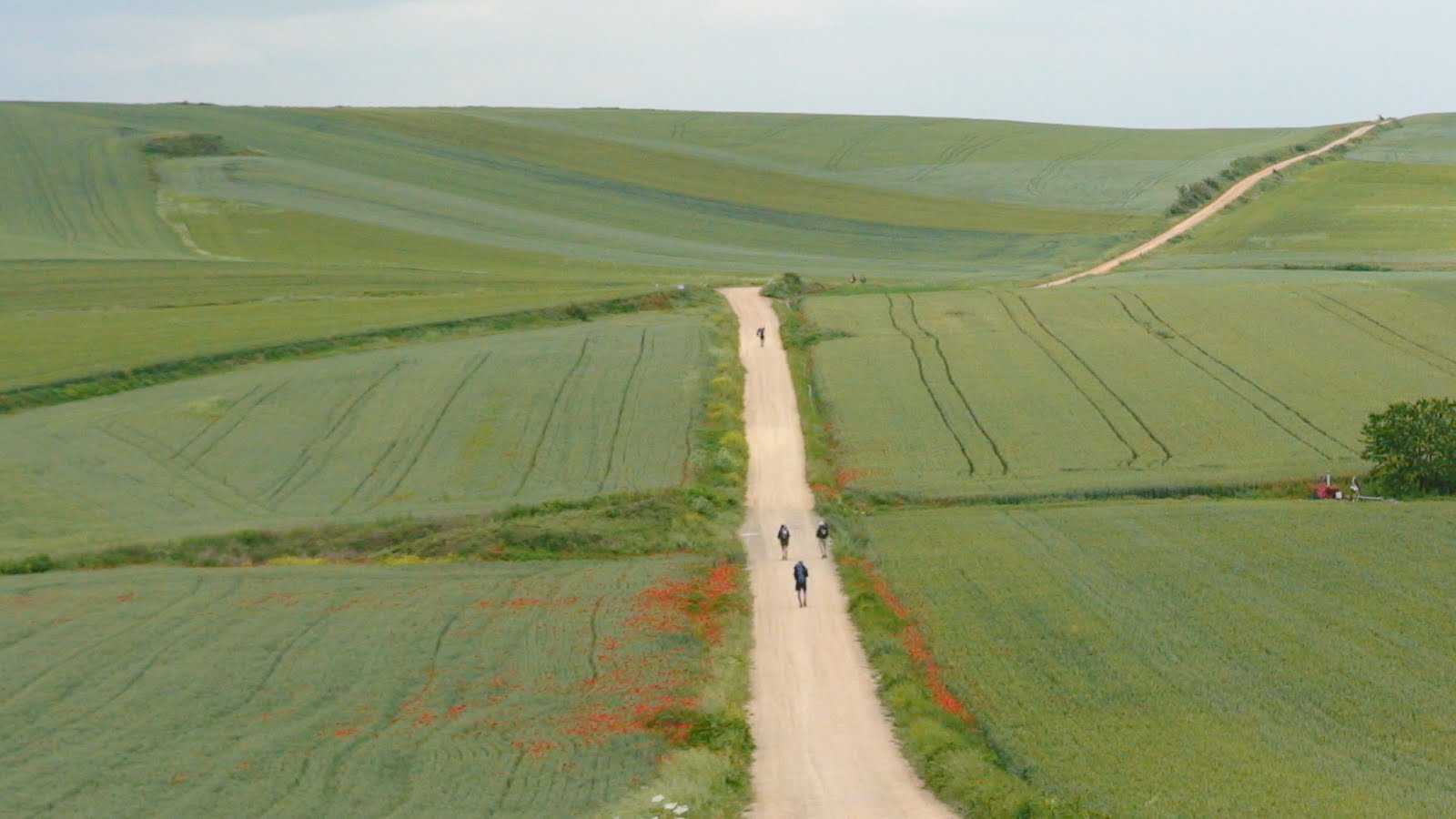 Caminho Francês