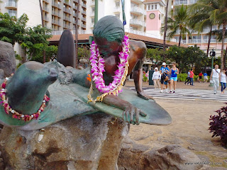 Hawaiian Monk Seal