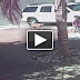 بالفيديو قطة تنقذ طفلا من أنياب كلب ضال