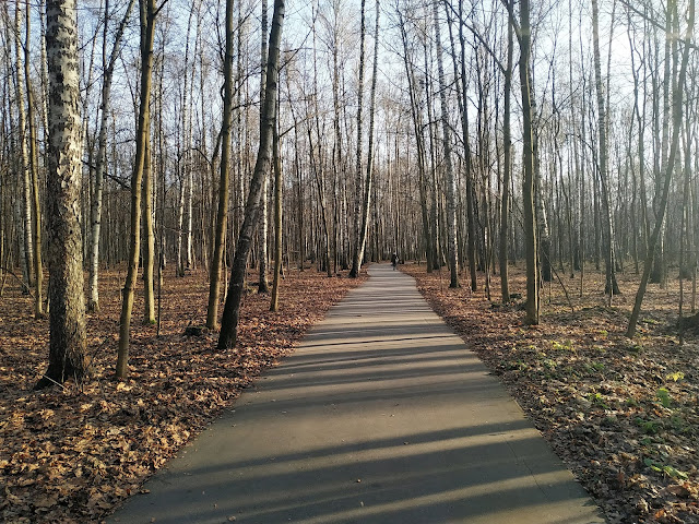 Измайловский парк.