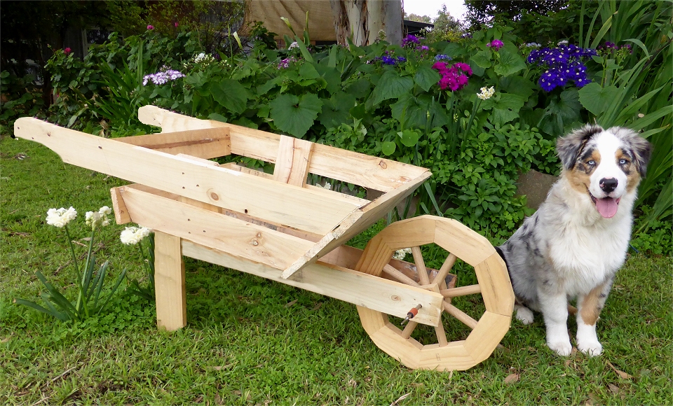 Wooden Wheelbarrow Planter With Free Plans Instructions Tea Tree A Barrow Made Using Panels Cut Direct From Pallet Now Off To Give The Dog Wheelbarrow Ride Woof