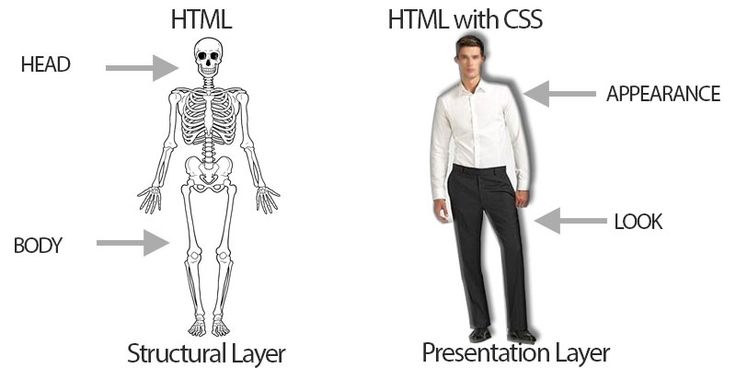 usage of css, javascript, images in django