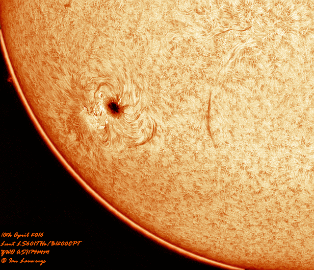 Large Sunspot Animation (AR2529) in Ha 10-04-2016 Large Sunspot Animation (AR2529) in Ha 10-04-2016