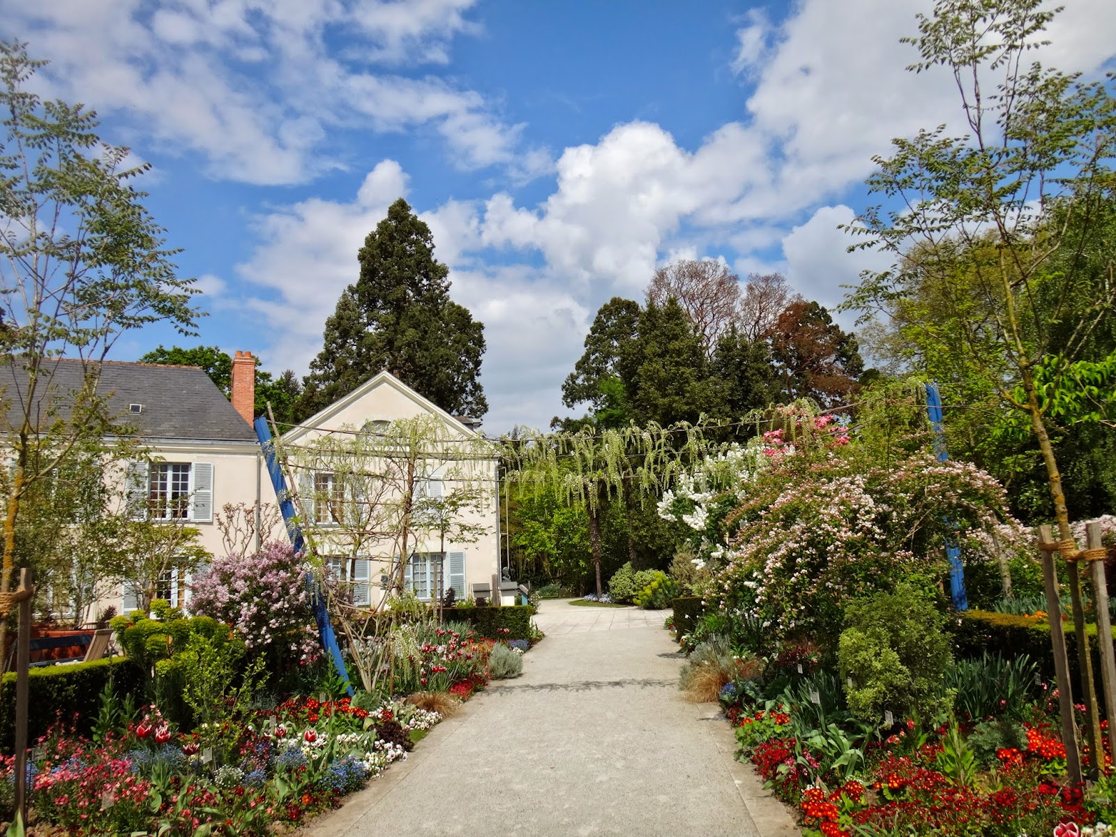 Ici, Ailleurs... Angers L'arboretum Gaston Allard