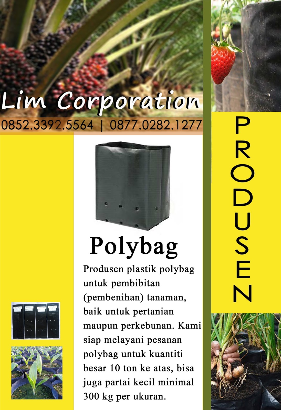 08123 258 4950 jual polybag murah harga murah di 08123 258 4950 jual polybag murah harga murah di