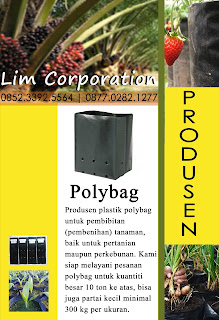  polybag tumbuhan harga pabrik di Sidoarjo Tips Pertanian - 08123.258.4950 | Jual Polybag Murah Harga Murah di Sidoarjo Jawa Timur
