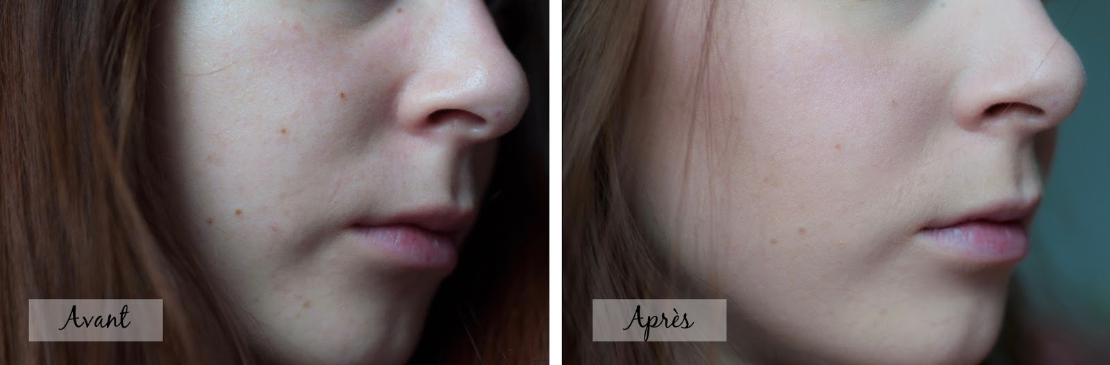 dupes pinceaux Artis