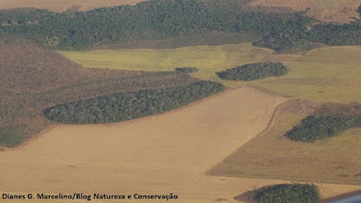 Cadastro Ambiental Rural é obrigatório para todos os proprietários de terras no Brasil. Foto: Dianes Gomes Marcelino. CAR é prorrogado, Michel Temer prorroga o cadastro ambiental rural, prorrogação do CAR, CAR, Cadastro Ambiental Rural, financiamento, adesão ao CAR, inscrever no CAR, consultoria ambiental, código florestal