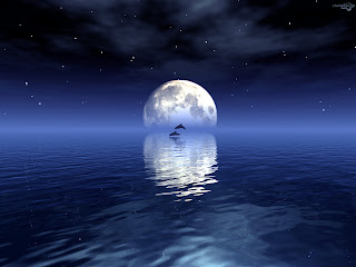 DEW: SILENT NIGHT