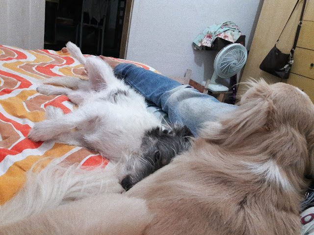 6 ON 6 MAIO | 2018: AMOR 6 ON 6 MAIO | 2018: AMOR