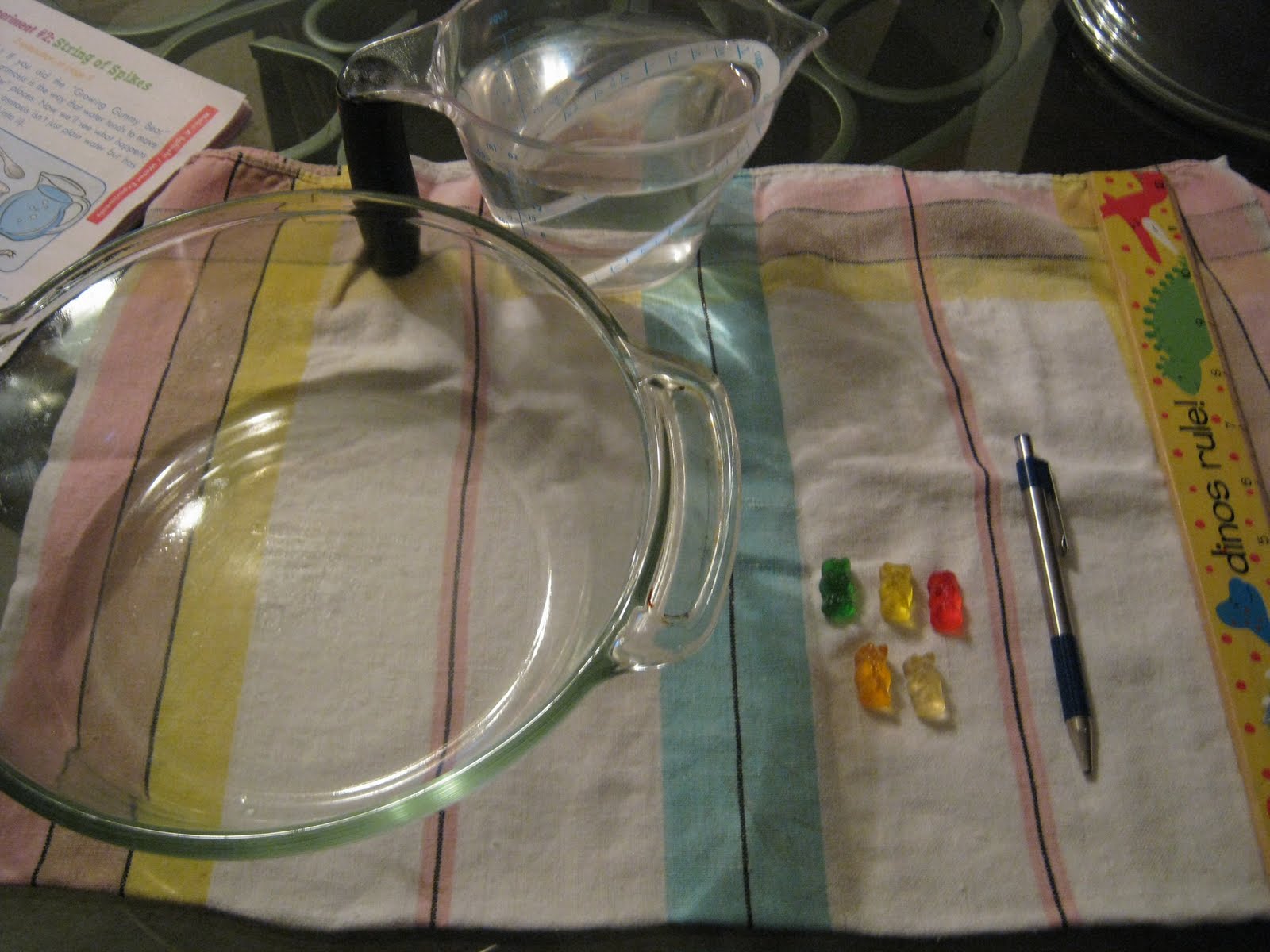 Science for Kids Experiment 1 Growing Gummy Bears