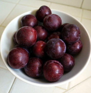 backyard cherry plums