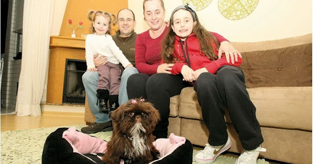 Os Shih tzu ajuda a manter o equilíbrio emocional da família