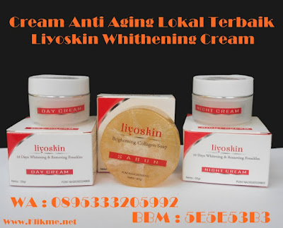 Cream Anti Aging Lokal Terbaik Cream Anti Aging Lokal Terbaik