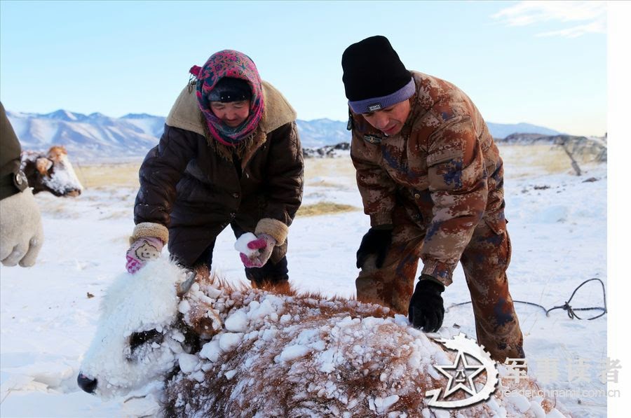 местные жители спасают. рыбалка в питкяранте зимой. карелия местные жители. местные жители спасают. местные жители спасают.