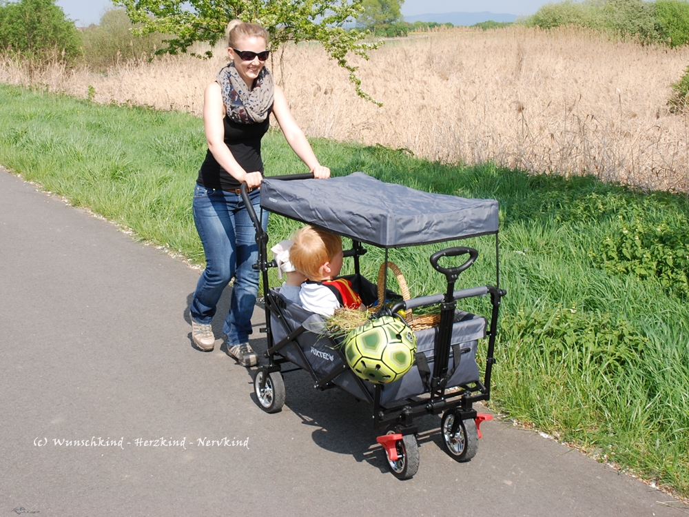 Wunschkind - Herzkind - Nervkind: Ein Bollerwagen mit ...