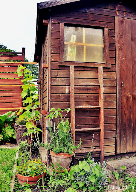 Hof 9 Lust auf Laube