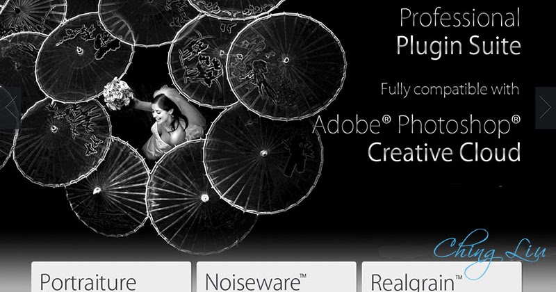 imagenomic portraiture 2 3 3