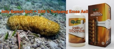 Obat Tradisional Sinusitis / Pilek ( Flu ) Menahun Terampuh dan Alami Obat Tradisional Sinusitis / Pilek ( Flu ) Menahun Terampuh dan Alami