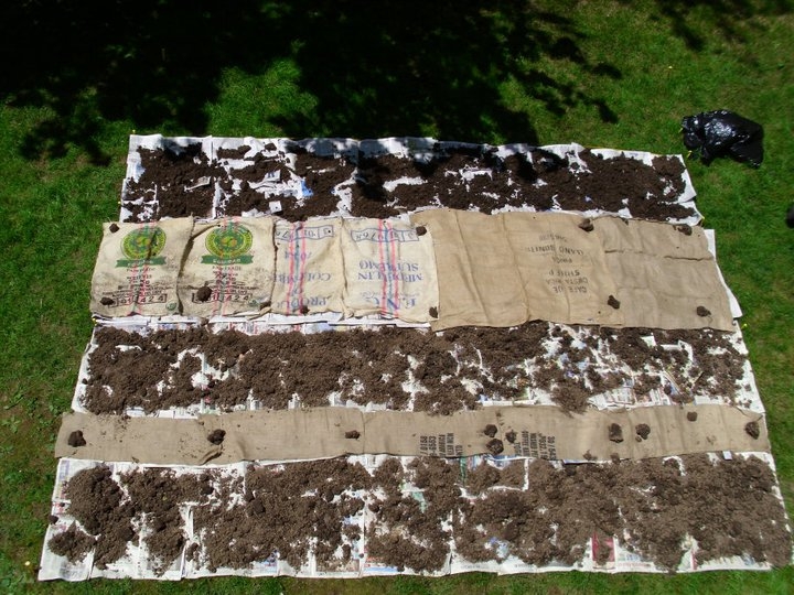 Lake City Farm Building a Garden