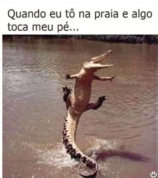 Memes Engraçados Memes Engraçados