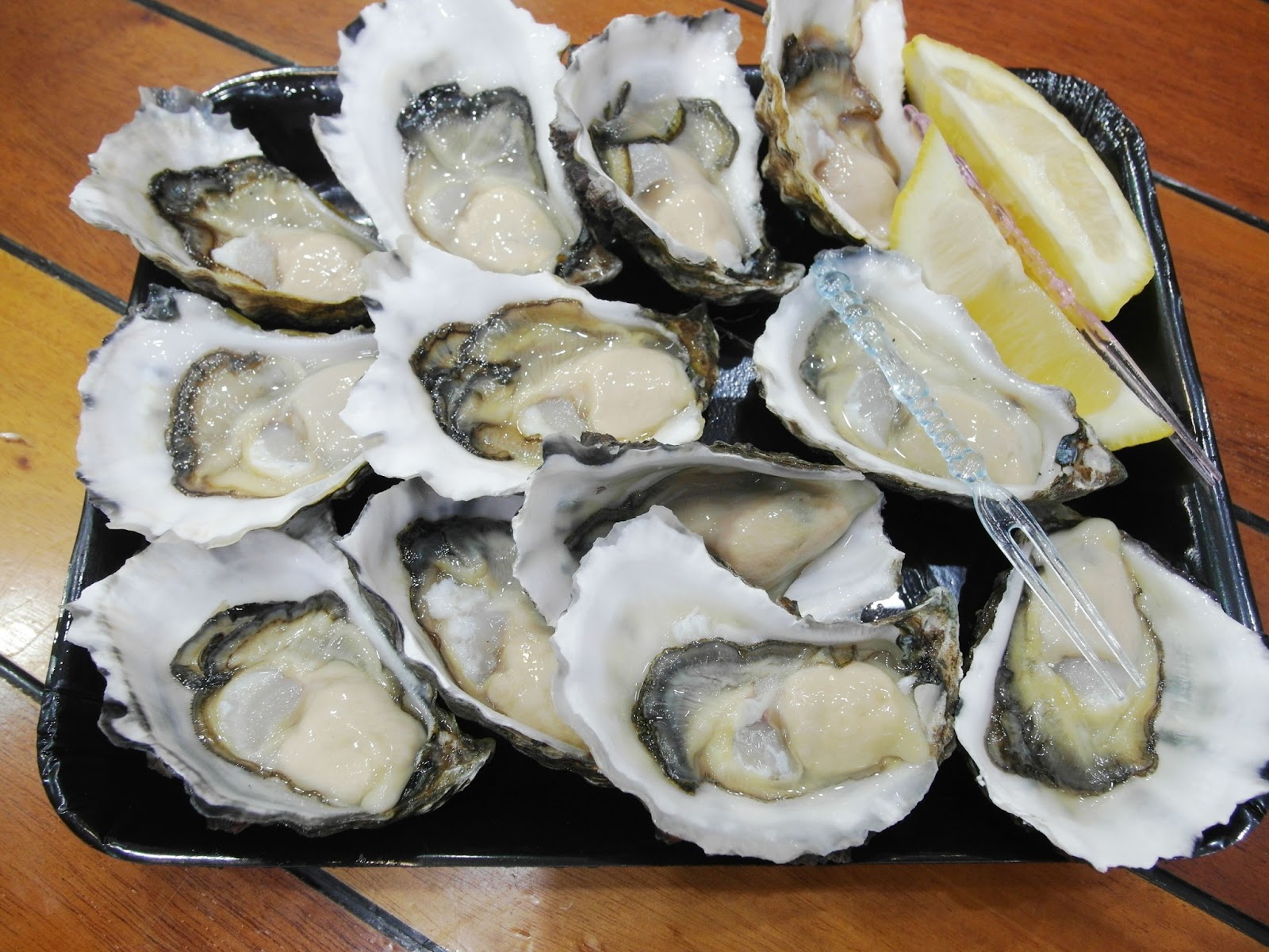 polyphagia ♣ christie's seafood excellence, pyrmont