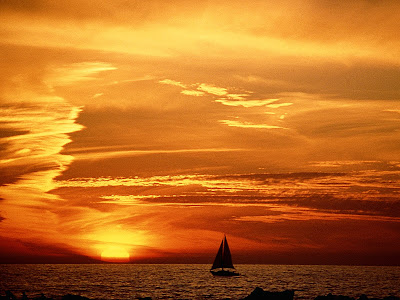 Sunset In Venice Beach, California