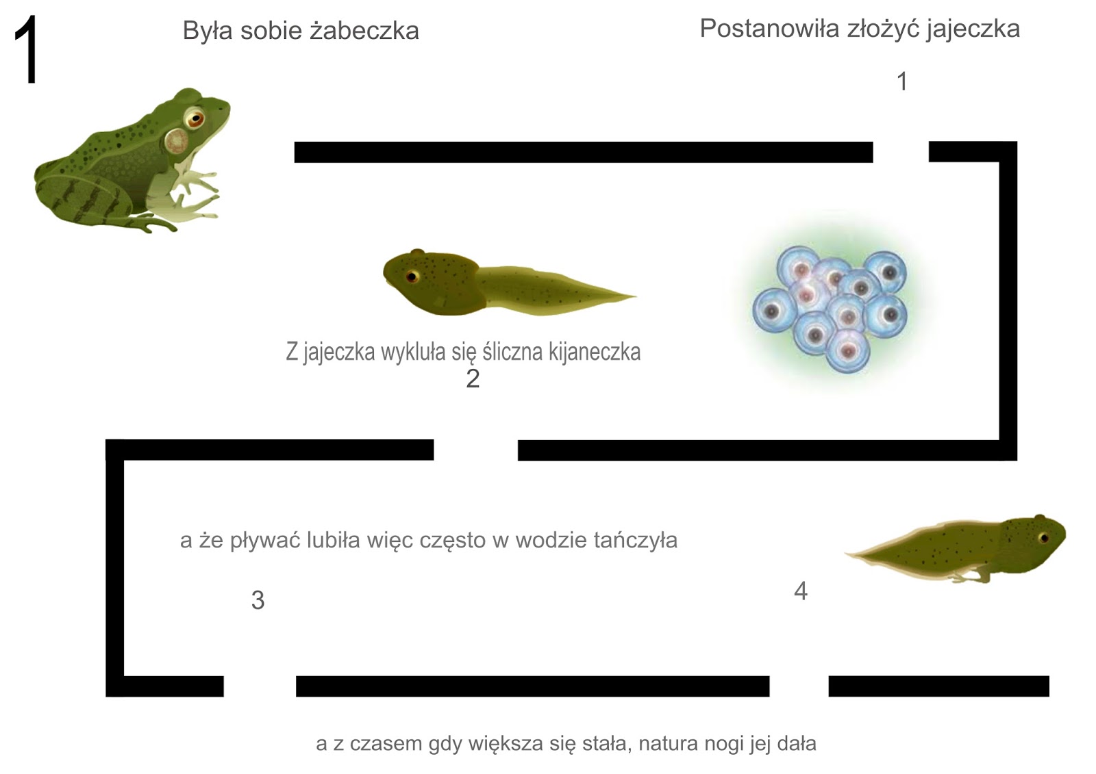 Jedynka" Koduje: Cykl rozwoju żaby - scenariusz dla ozobota