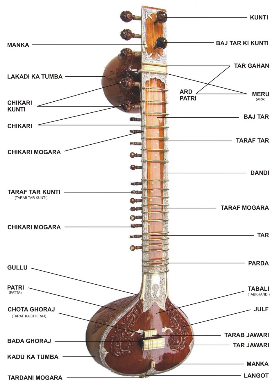 INSTRUMUNDO Instrumentos Musicales Sitar, सितार, সেতার, سی‌تار