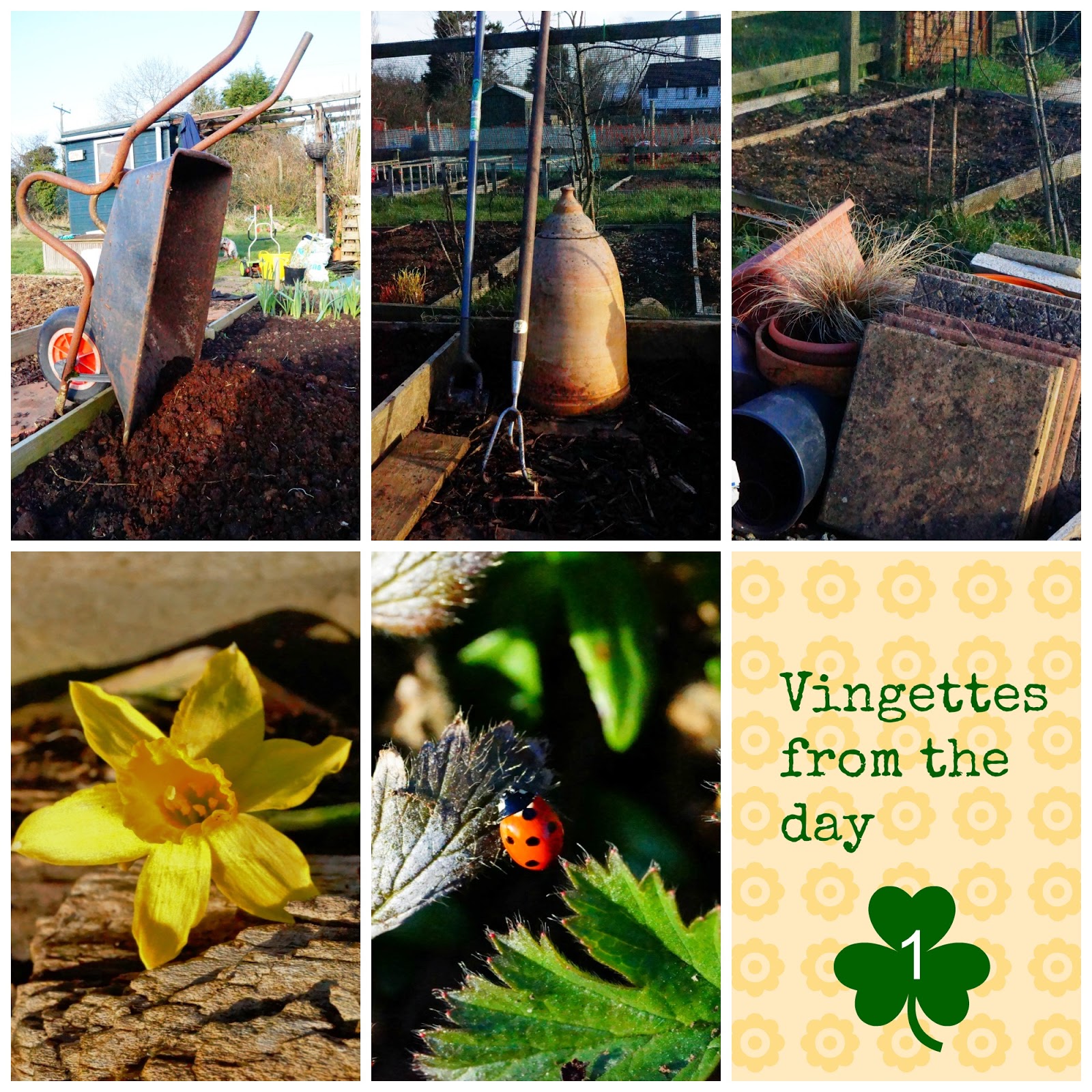 Vingettes from Day 1 - growourown.blogspot.com ~ alloment blog
