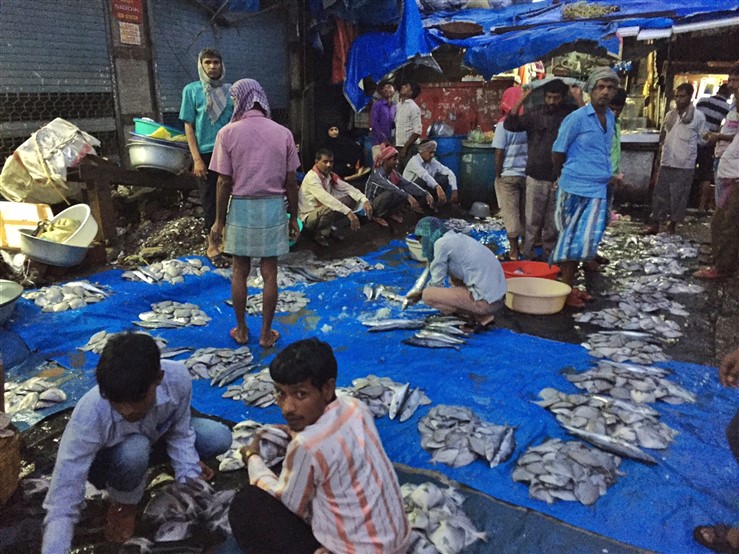 Crawford Fish Market of Mumbai a memorable visit!