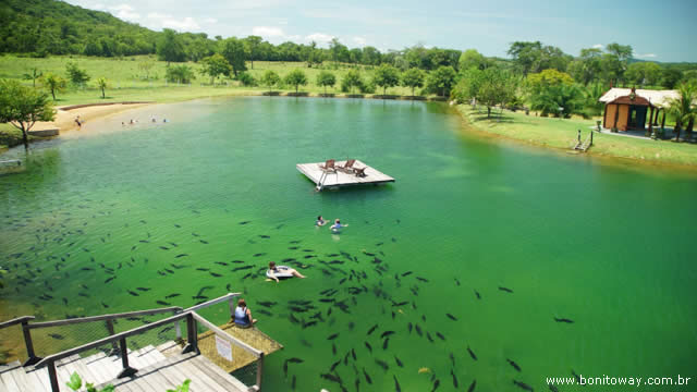 Nascente Azul - Bonito, Mato Grosso do Sul-MS Nascente Azul - Bonito, Mato Grosso do Sul
